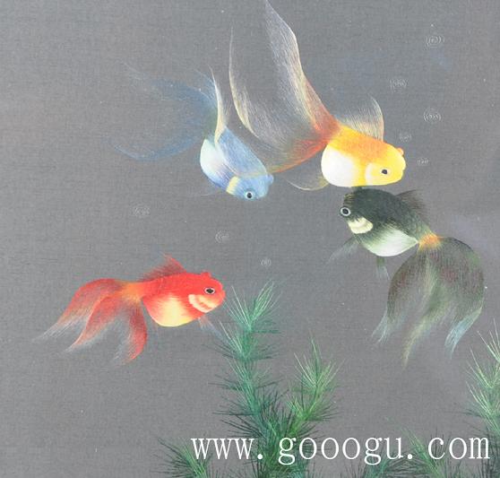 金魚自由自在的游動、展現(xiàn)出形態(tài)優(yōu)美的舞姿！